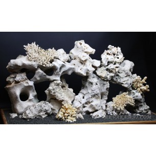 Композиция "Кения" для цихлидника