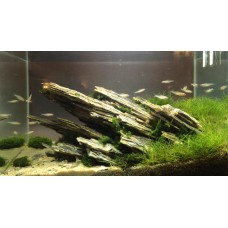 Композиция из Древесного камня