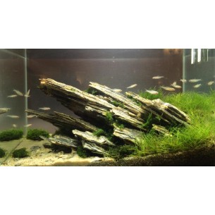 Композиция из Древесного камня