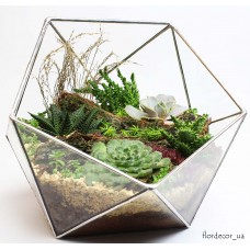 Флорариум Basket maxi с суккулентами 