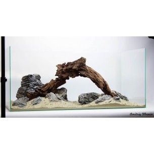 Black quartz aquarium