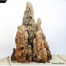 Композиция для высокого аквариума из Дракона