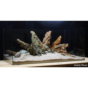 Камень Дракон