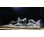 Grey stone aquarium