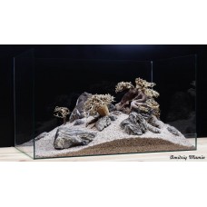 Композиция для аквариума. Бонсаи и Карпатский камень