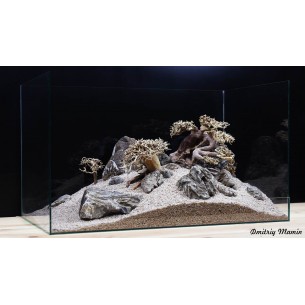 Композиция для аквариума. Бонсаи и Карпатский камень