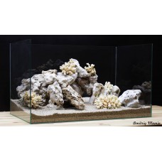 Композиция из Кенийского с кораллами