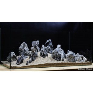 Композиция для аквариума от 160 литров. Черный кварц