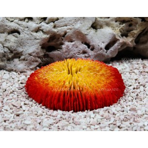 Искусственный коралл Trixie 11см