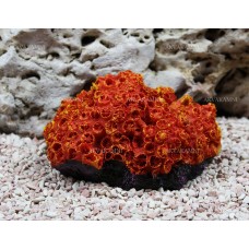Искусственный коралл Trixie 15см