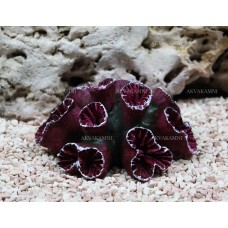 Искусственный коралл Trixie 13см