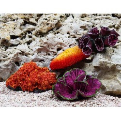 Набор кораллов Trixie 4 шт