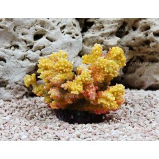 Искусственный коралл Trixie 12см