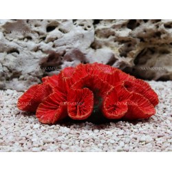 Искусственный коралл Trixie 16см Искусственный коралл Trixie 16см