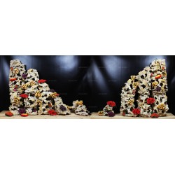 Композиція на 300см, Кенія + корали 