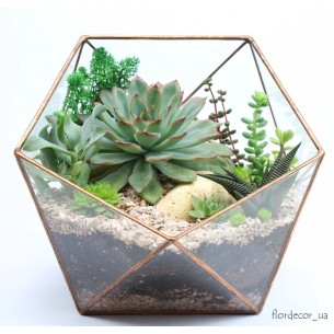 Флорариум Basket maxi