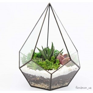 Флорариум Comet mini