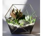 Флорариум Basket maxi