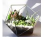 Флорариум Basket maxi
