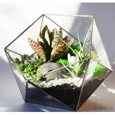 Флорариум Basket maxi