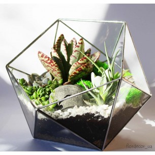 Флорариум Basket maxi