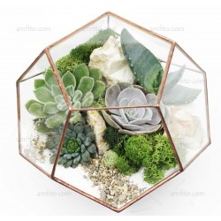 Флорариум "Ball mini"