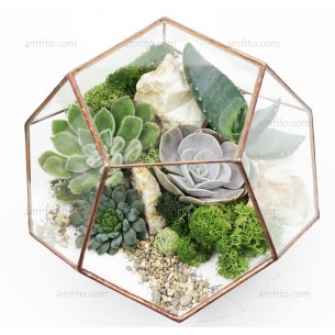 Флорариум "Ball mini"