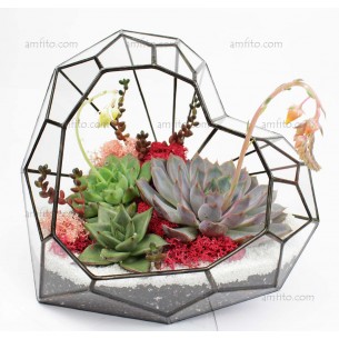 Флорариум "Heart-criatal optima" 