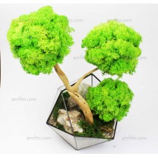 Флорариум Basket maxi