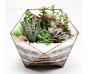 Флорариум Basket maxi