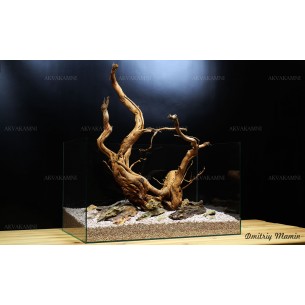 Композиция для аквариума Дракон+Вьюн