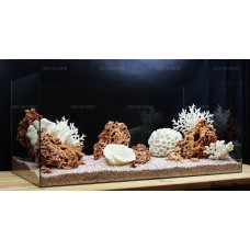 Композиция из Spaghetti и кораллов (от 120л)