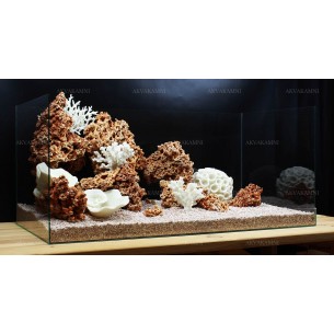 Композиция из Spaghetti и кораллов (от 180л)