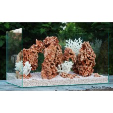 Композиция из Spaghetti и кораллов (от 70л)