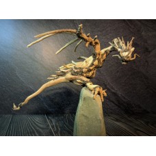 Ручная работа "Дракон" из Азалии