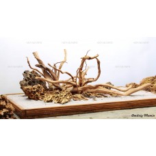 Композиция Дракон + Азалия К19 (от 120л)