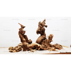 Композиция Дракон + Коралловое дерево К22 (от 80л)