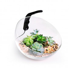 Ваби сет - Wabi Set - декоративний набір для wabi-kusa