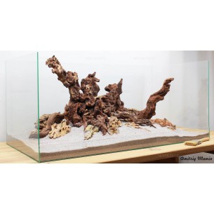 Композиция Дракон + Коралловое дерево К25 (от 200л)