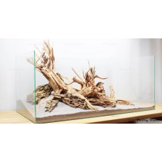 Композиция Дракон + Азалия К26 (от 240л)