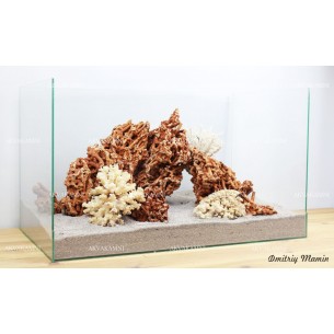 Композиция из Spaghetti и кораллов (от 60л)