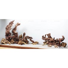 Композиция Дракон + Коралловое дерево К104 (от 360л)