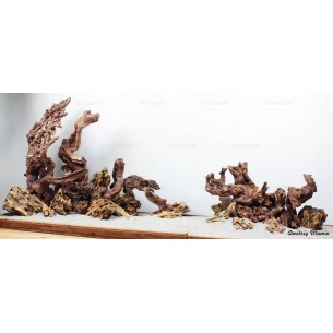 Композиция Дракон + Коралловое дерево К104 (от 360л)