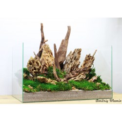 Композиция К130 с коралловыми корнями (от 66л)