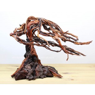 Бонсай для аквариума B18