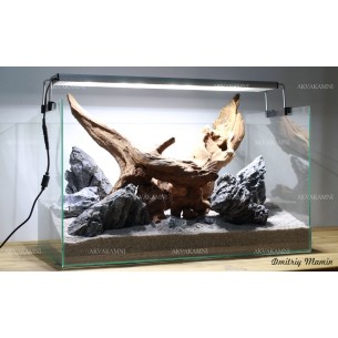 Композиция Коралловое дерево К137 (от 66л)