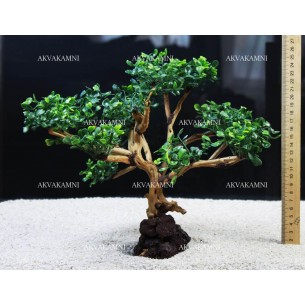 Бонсай для аквариума B31 с искусственными листьями