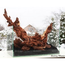 Композиция Коралловая К163 (от 66л)