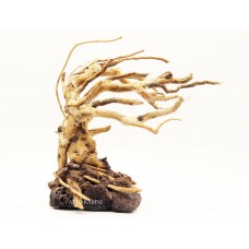 Бонсай B57 (высота 15см) для аквариума