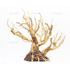 Бонсай B64 (высота 24см) для аквариума